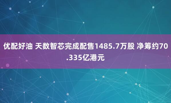 优配好油 天数智芯完成配售1485.7万股 净筹约70.335亿港元