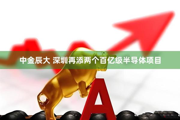 中金辰大 深圳再添两个百亿级半导体项目